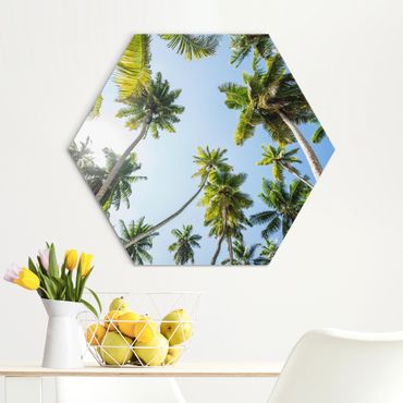 Hexagone en alu Dibond - Palm Tree Canopy