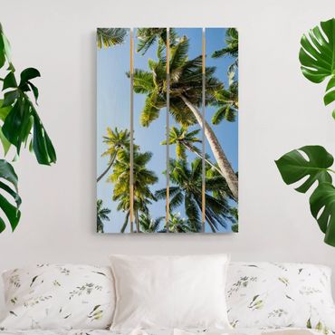 Impression sur bois - Palm Tree Canopy