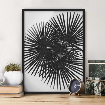 Framed poster - Palm Leaves In Black And White