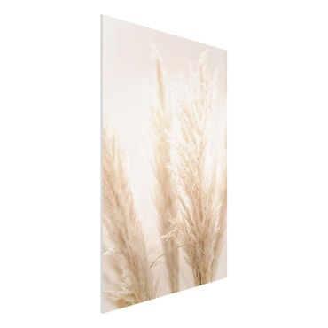 Impression sur forex - Pampas Grass In Sun Light - Format portrait 2:3