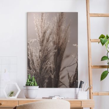 Tableau sur toile - Pampas Grass In Late Fall