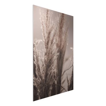 Impression sur forex - Pampas Grass In Late Fall - Format portrait 2:3