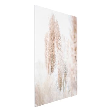 Impression sur forex - Pampas Grass In White Light - Format portrait 2:3