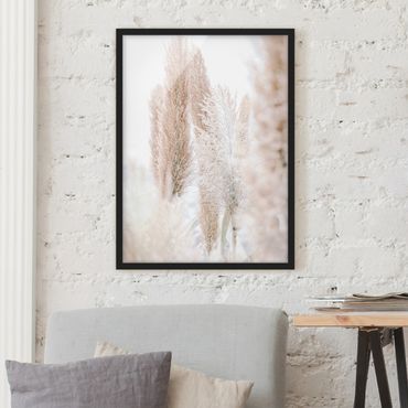 Framed poster - Pampas Grass In White Light