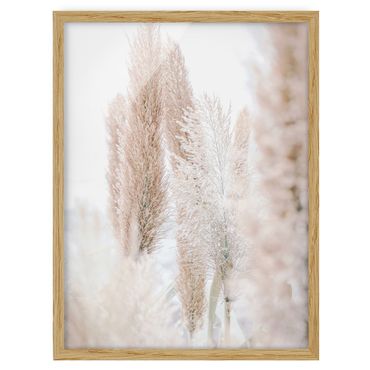 Framed poster - Pampas Grass In White Light