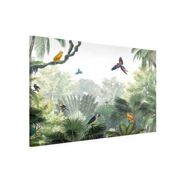 Tableau magnétique - Parade de perroquets dans la douce jungle