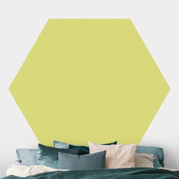 Papier peint hexagonal autocollant avec dessins - Pastel Green