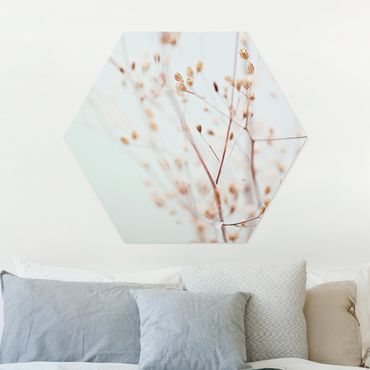 Hexagone en forex - Pastel Buds On Wild Flower Twig