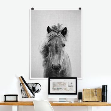 Poster reproduction - Horse Pauline Black And White