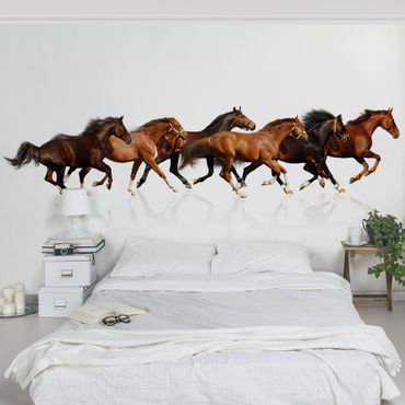 Papier peint - Horse Herd