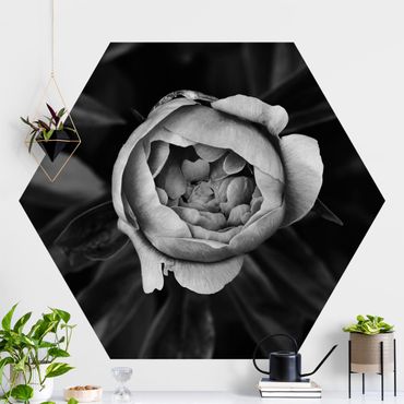 Papier peint hexagonal autocollant avec dessins - Peonies Blossom In Front Of Leaves Black And White