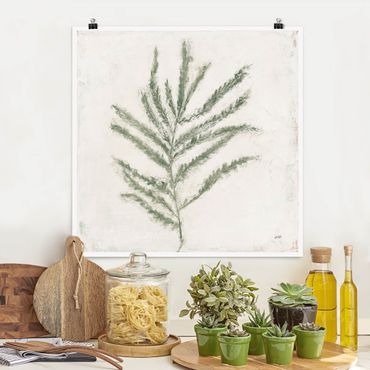 Poster reproduction - Plantlet