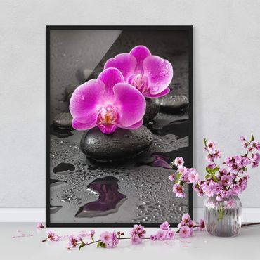 Poster encadré - Pink Orchid Flower On Stones With Drops