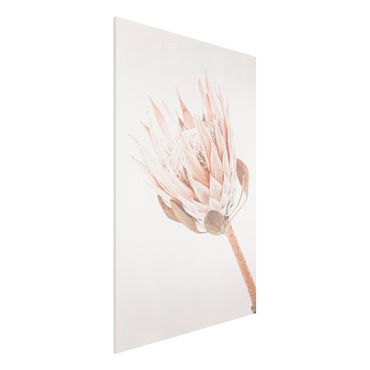 Impression sur forex - Protea Queen Of Flowers - Format portrait 2:3