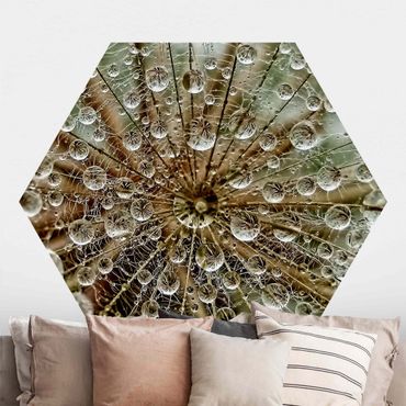 Papier peint hexagonal autocollant avec dessins - Dandelion In Autumn