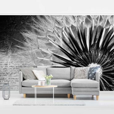 Papier peint - Dandelion Black & White