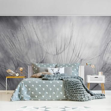 Metallic wallpaper - Dandelion Macro Shot In Black And White