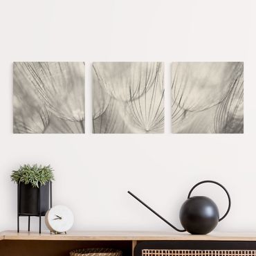Impression sur toile - Dandelion Macro Shot In Black And White