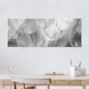 Tableau en verre - Dandelions macro shot in black and white
