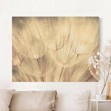 Tableau sur toile naturel - Dandelions Close-Up In Cozy Sepia Tones - Format paysage 4:3