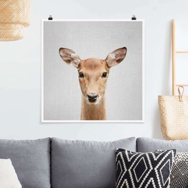 Poster reproduction - Roe Deer Rita