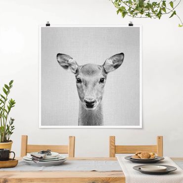 Poster reproduction - Roe Deer Rita Black And White