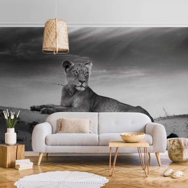 Metallic wallpaper - Resting Lion