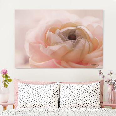 Tableau sur toile - Focus On Light Pink Flower