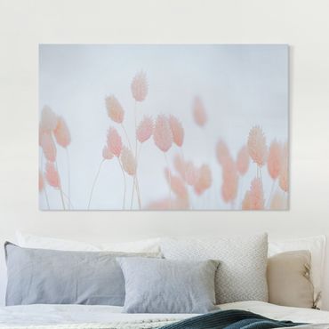 Tableau sur toile - Grass Tips In Pale Pink