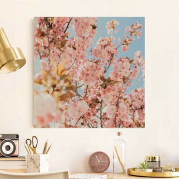 Tableau sur toile naturel - Pink Cherry Blossoms Galore - Carré 1:1