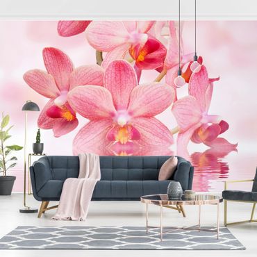 Papier peint - Light Pink Orchid On Water