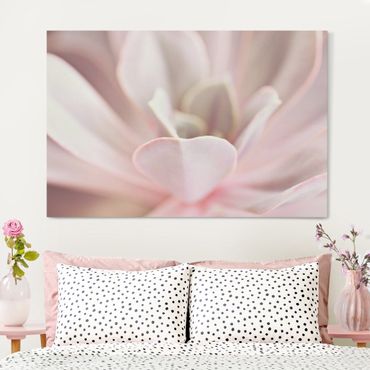 Tableau sur toile - Light Pink Succulent Flower