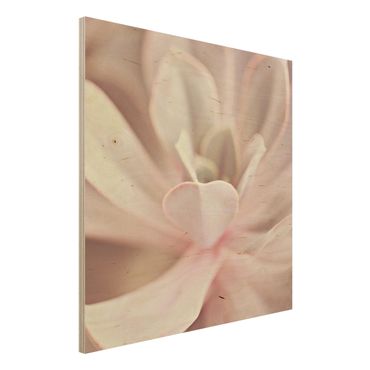 Tableau en bois - Light Pink Succulent Flower