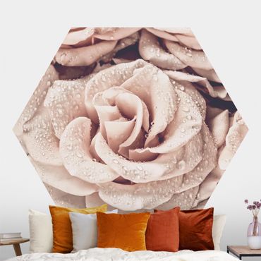 Papier peint hexagonal autocollant avec dessins - Roses Sepia With Water Drops