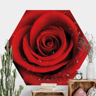 Papier peint hexagonal autocollant avec dessins - Red Rose With Water Drops