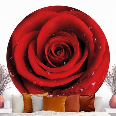 Papier peint rond autocollant - Red Rose With Water Drops