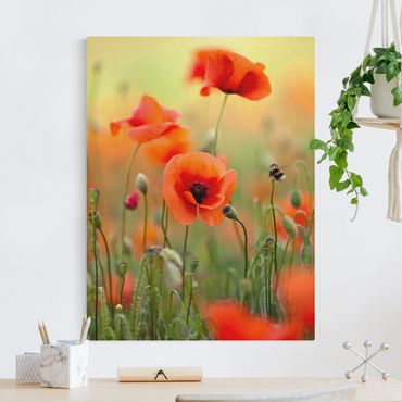Tableau sur toile naturel - Red Summer Poppy - Format portrait 3:4