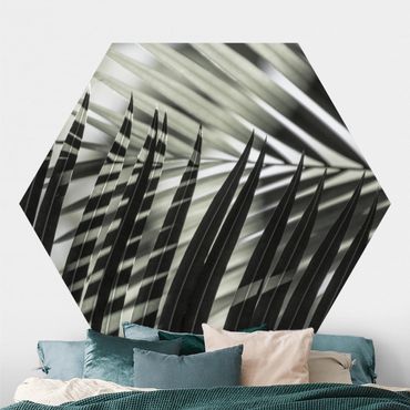 Papier peint hexagonal autocollant avec dessins - Interplay Of Shaddow And Light On Palm Fronds