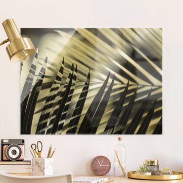 Tableau en verre - Interplay Of Shaddow And Light On Palm Fronds - Format paysage