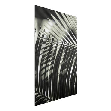 Impression sur forex - Interplay Of Shaddow And Light On Palm Fronds - Format portrait 2:3