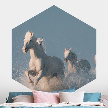 Papier peint hexagonal autocollant avec dessins - Herd Of White Horses