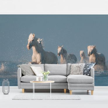 Papier peint - Herd Of White Horses