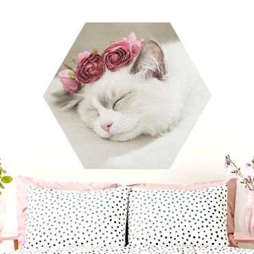 Hexagone en forex - Sleeping Cat with Roses
