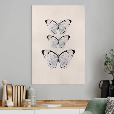 Tableau sur toile - Butterfly On Beige