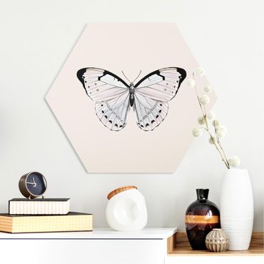 Hexagone en forex - Butterfly On Beige