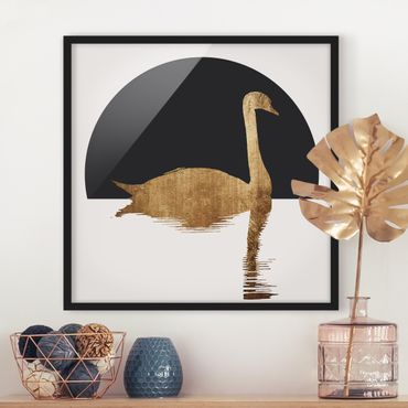 Framed poster - Swan Gold