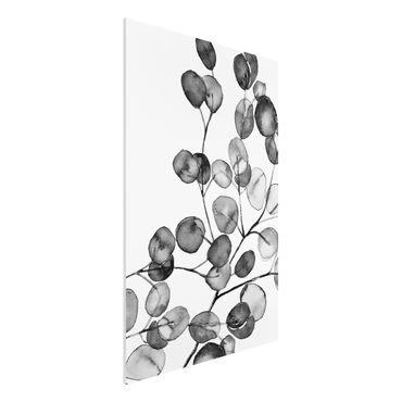 Impression sur forex - Black And White Eucalyptus Twig Watercolour - Format portrait 2:3