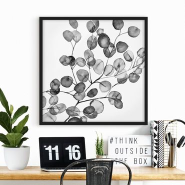 Framed poster - Black And White Eucalyptus Twig Watercolour