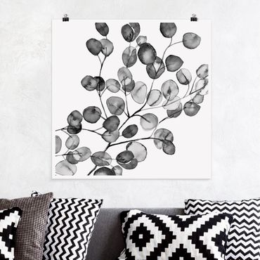 Poster - Black And White Eucalyptus Twig Watercolour