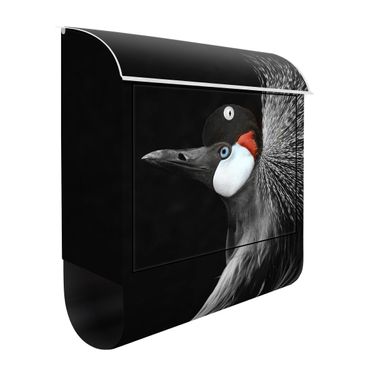 Letterbox - Black Crowned Crane
